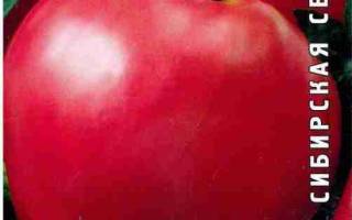 Абаканский розовый томат описание