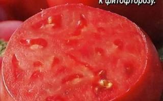 Андреевский сюрприз томат
