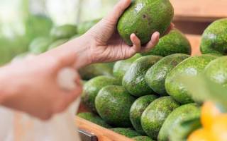 Как дозреть авокадо