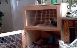 Домик для кроликов