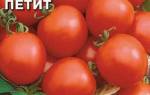 Флорида петит томат