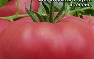 Розовый гигант томат описание
