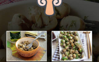 Рецепт маринования грибов шампиньонов