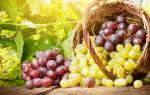 Варенье из домашнего винограда